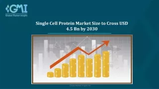 Single Cell Protein Market Analysis Research Report 2030