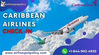 The benefit of using the Caribbean Airlines check-in process