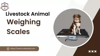 Livestock Animal Weighing Scales