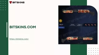 Cs2 Gun Skins | Bitskins.com