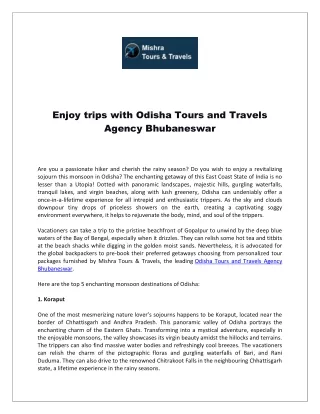 Enjoy trips with Odisha Tours and Travels Agency Bhubaneswar