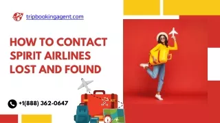 How To Contact Spirit Airlines Lost and Found