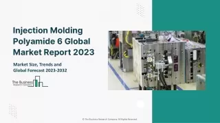 Injection Molding Polyamide 6 Global Market Report 2023