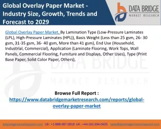 Global Overlay Paper Market