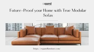 Future-Proof your Home with True Modular Sofas | Expand Furniture