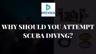 Iphone Scuba Diving Case