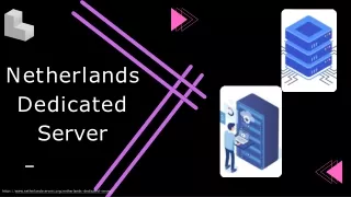 Optimize Online Presence with Netherlands Server's Dedicated Hosting Solutions