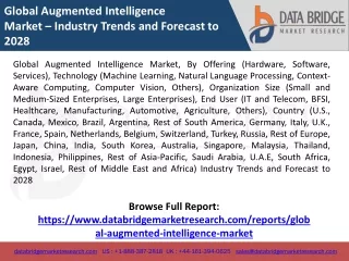 Global Augmented Intelligence Market