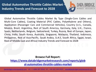 Global Automotive Throttle Cables Market