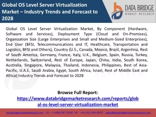 Global OS Level Server Virtualization Market