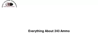 Everything About 243 Ammo