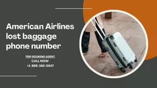 American Airlines lost baggage phone number