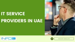 it service providers in uae