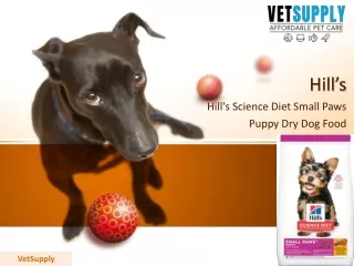 Hills Science Diet Puppy Small Paws Dry Dog Food | VetSupply