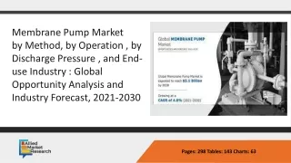 Global Membrane Pump Market ppt