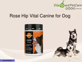 Buy Discount Rose Hip Vital Canine for Dogs Online in Australia