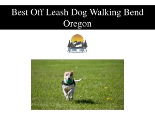 Best Off Leash Dog Walking Bend Oregon
