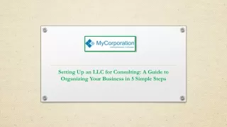 Setting Up an LLC for Consulting A Guide to Organizing Your Business in 5 Simple Steps