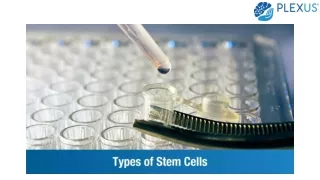 Types Of Stem Cells