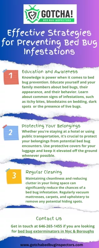 Effective Strategies for Preventing Bed Bug Infestations