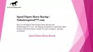 Speed Figure Horse Racing  Noluckrequired777.com