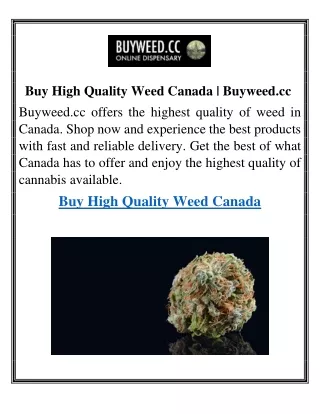 Buy High Quality Weed Canada | Buyweed.cc