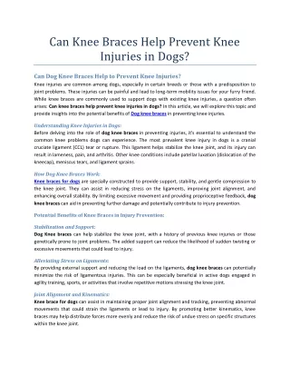 Can Knee Braces Help Prevent Knee Injuries in Dogs?