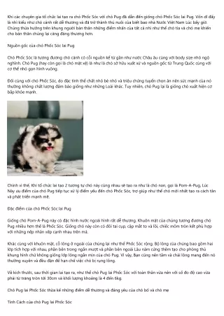 Những điều chúng Ta nên biết về Tương đương Chó Phốc Sóc Lai Pug