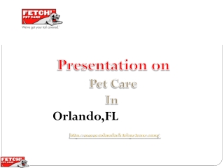 Fetch pet care and its pet care services in Orlando, FL