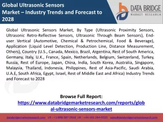 Global Ultrasonic Sensors Market