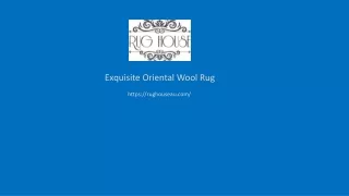 Exquisite Oriental Wool Rug