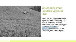 Small Scale Farmer Profitable Cash Crop Ideas