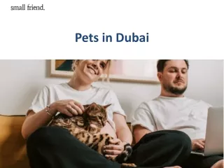 Pets in Dubai