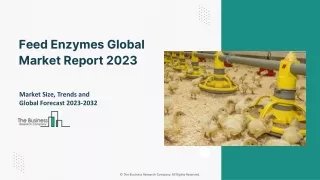 Feed Enzymes Global Market Report 2023