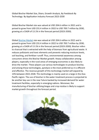 Global Biochar Market Size