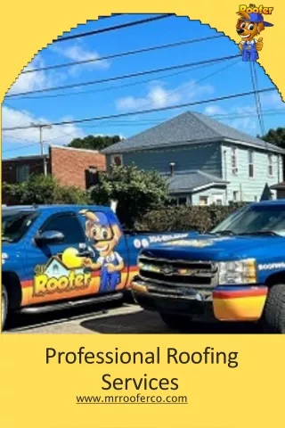 Professional Roofing Services | Mr.Roofer