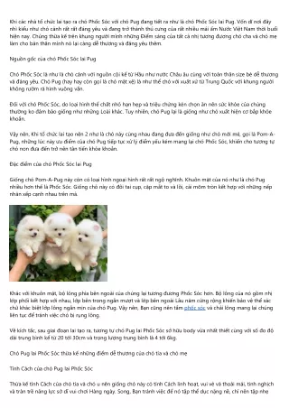 Những điều chúng Ta nên biết về giống như Chó Phốc Sóc Lai Pug