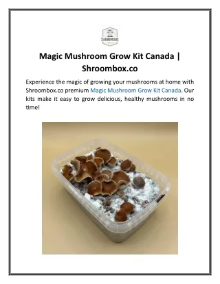 Magic Mushroom Grow Kit Canada Shroombox.co