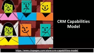 CRM Capabilities Model- Customer Relationship Management Capabilities