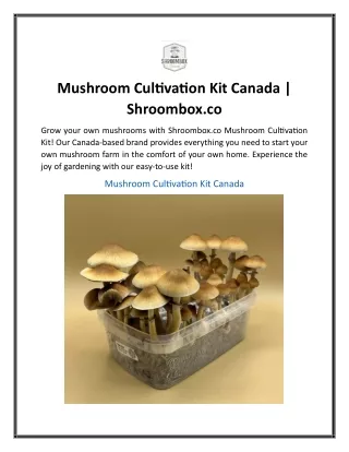 Mushroom Cultivation Kit Canada  Shroombox.co.............