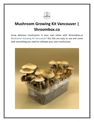 Mushroom Growing Kit Vancouver  Shroombox.co...............