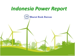 Indonesia Power Report