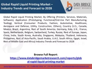 Global Rapid Liquid Printing Market