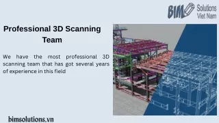 professional 3D scanning team