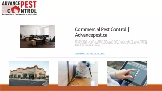 Commercial Pest Control | Advancepest.ca