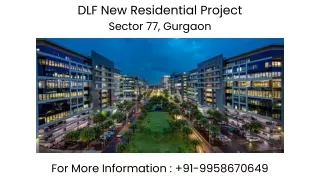 Dlf Residential in sector 77 Gurgaon, Dlf Residential in sector 77 Gurgaon launc