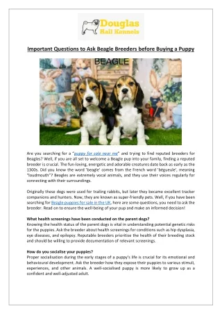 Essential Questions to Ask Before Buying a Beagle Puppy | Douglas Hall Kennels