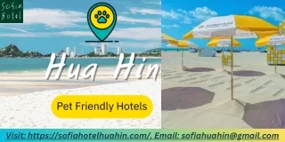 The Best 5 Pet-Friendly Hotels In Hua Hin For Your Next Vacation  SofiaHotelHuahin