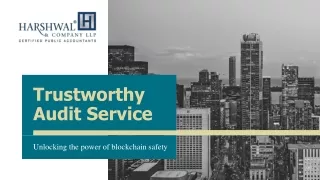 Unlocking the Power of Blockchain Safely: Trustworthy Audit Services
