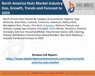 North America Nuts Market